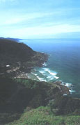 Cape Perpetua